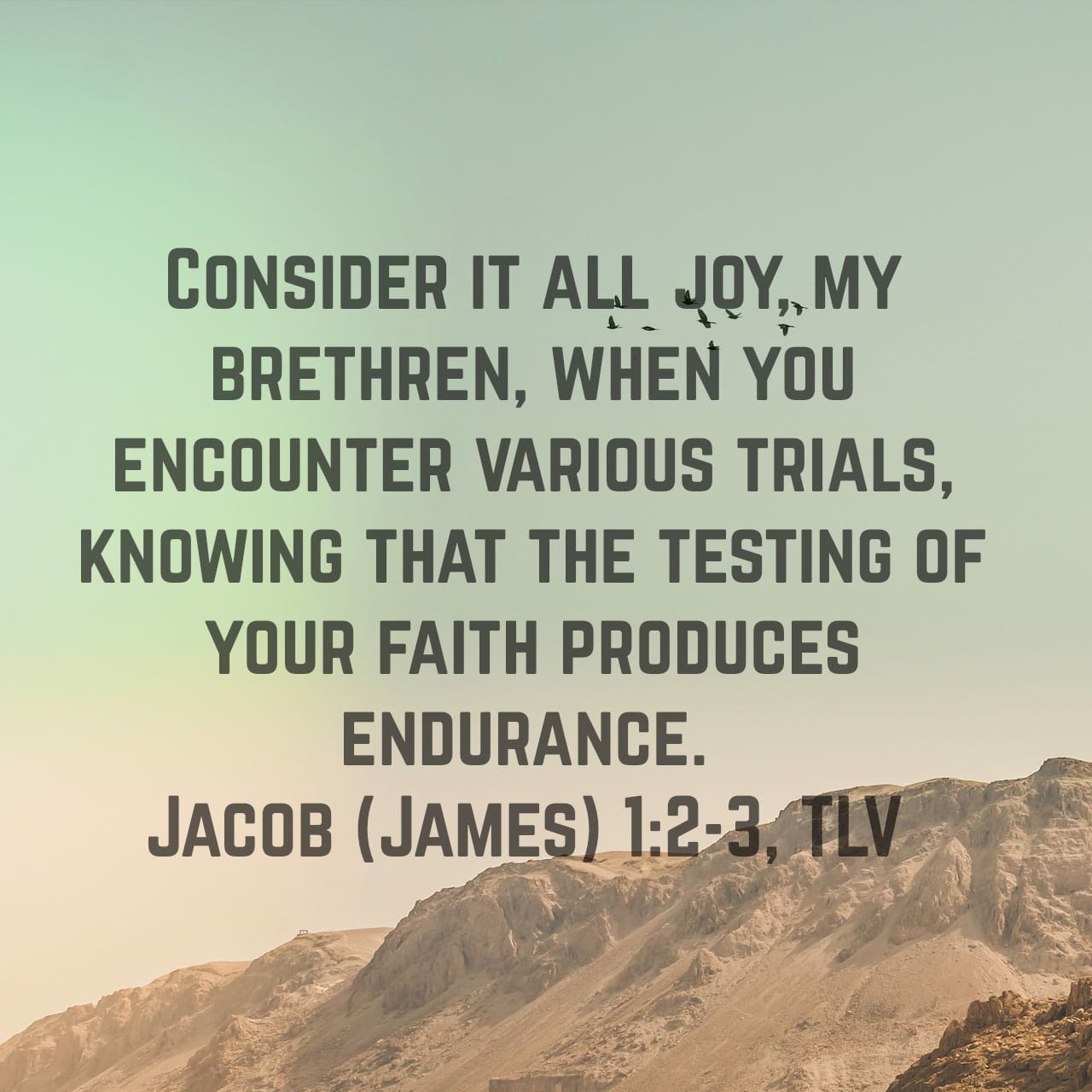 Verse of the Day - James 1:2-3, The Bible App