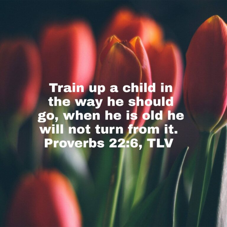 Daily Touch: Proverbs 22:6 - Terri Gillespie