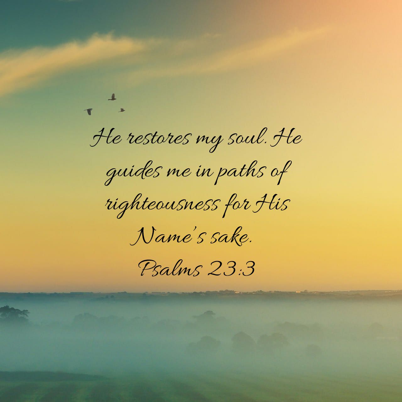 Daily Word: Psalm 23:3 - Terri Gillespie