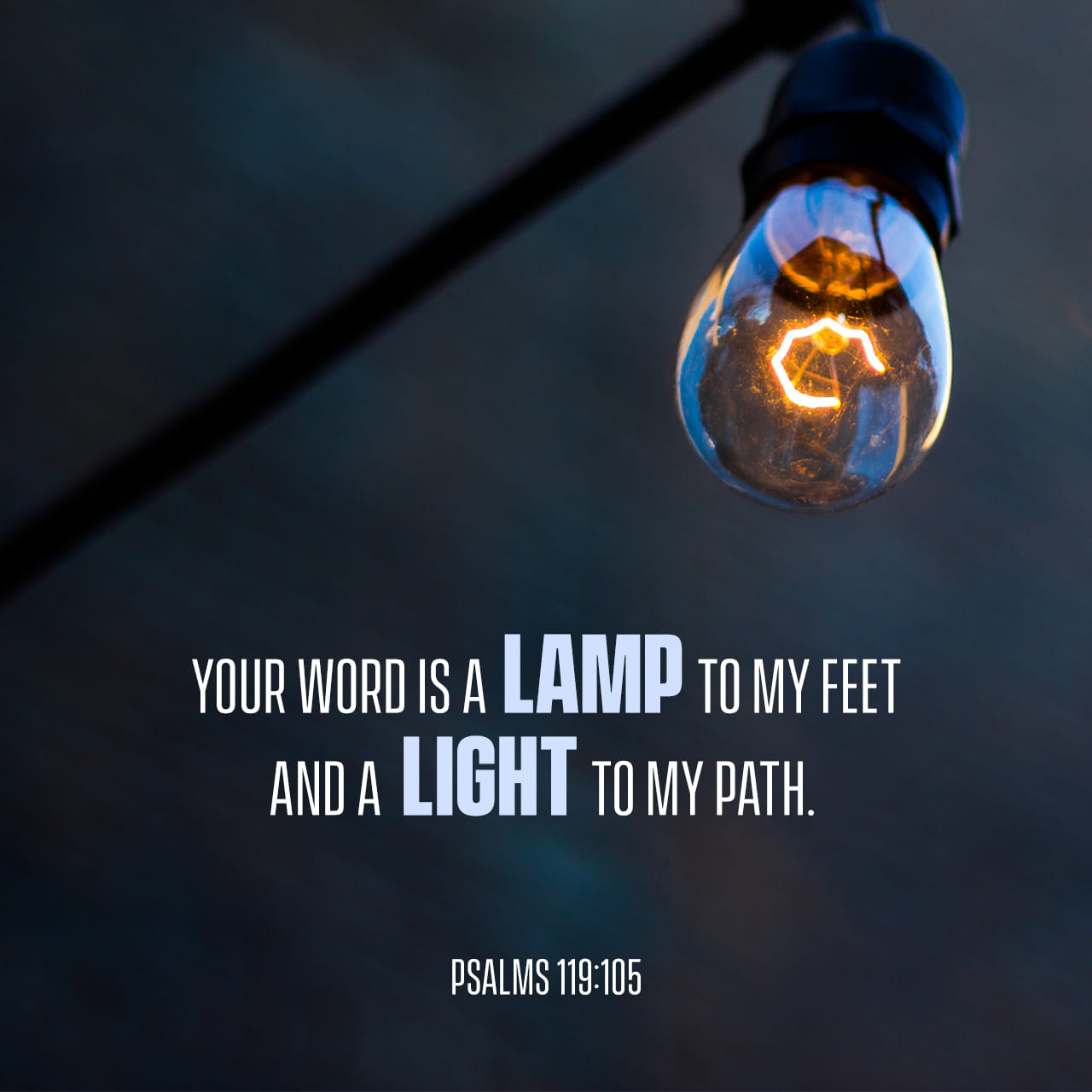 daily-word-psalm-119-105-terri-gillespie