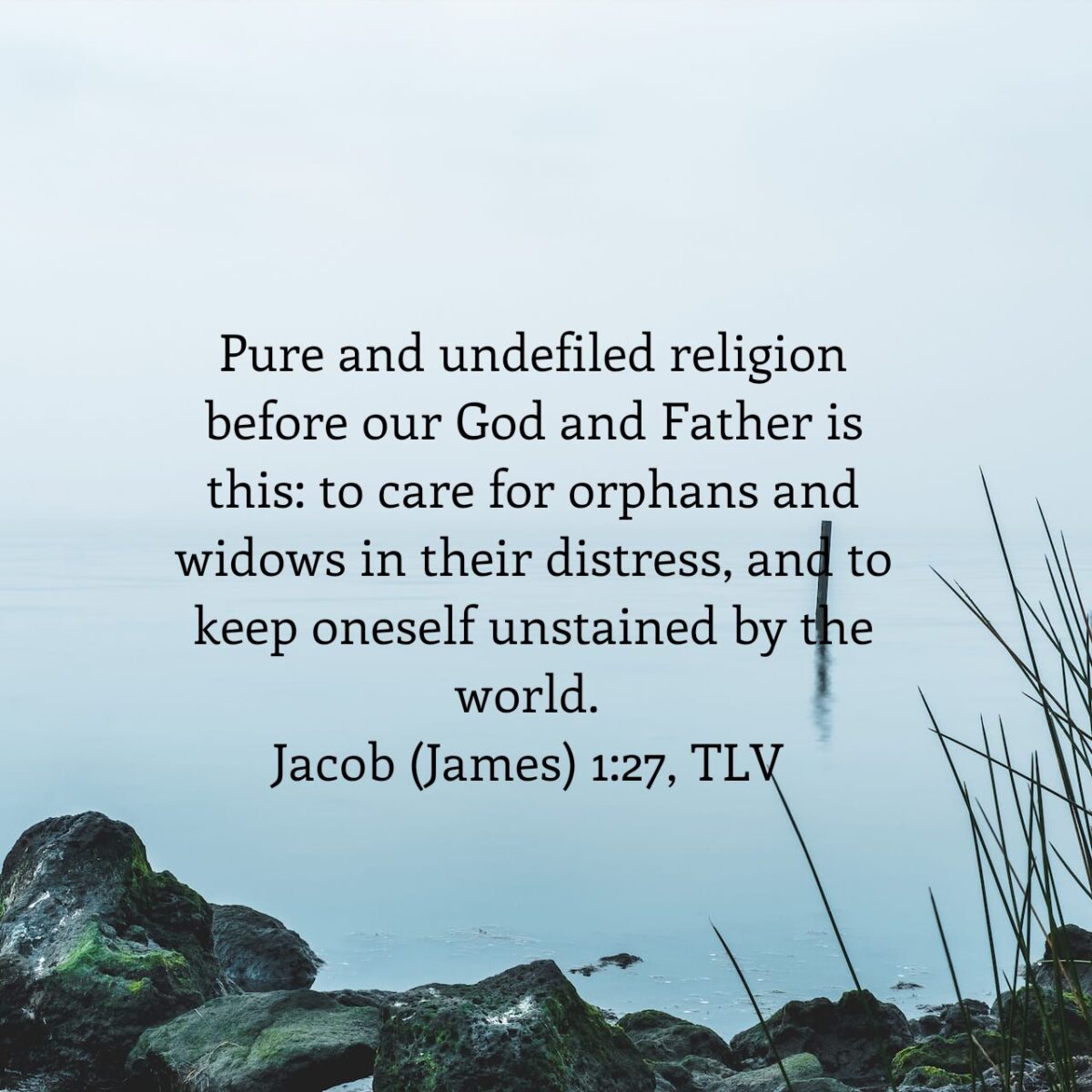 Daily Word: Don't Forget Them, James [Jacob] 1:27 - Terri Gillespie