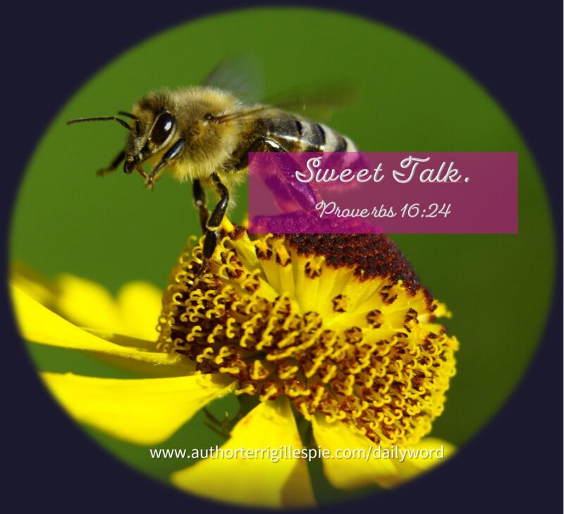 daily-word-sweet-talk-proverbs-16-24-terri-gillespie