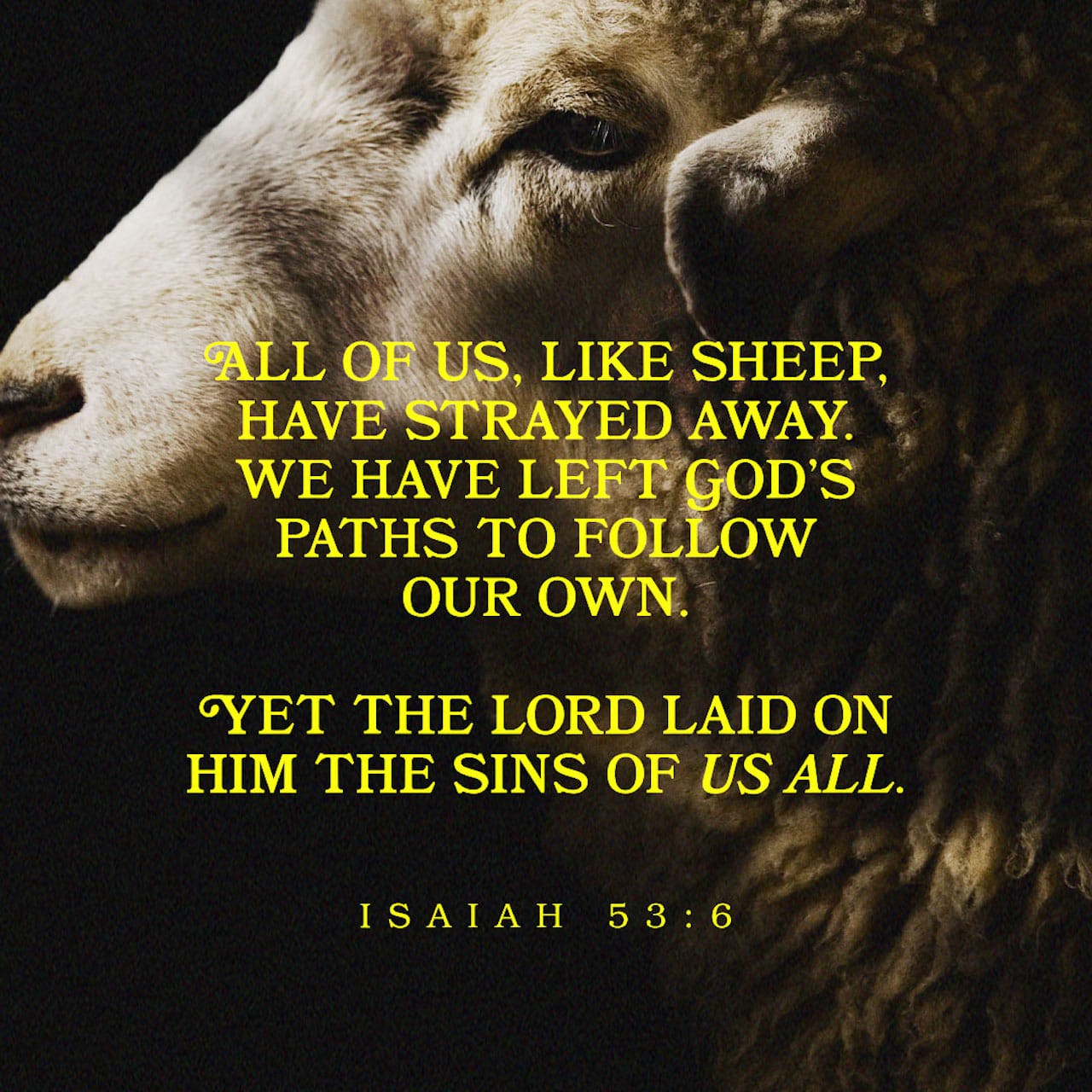 daily-word-the-shepherd-s-sacrifice-isaiah-53-6-terri-gillespie