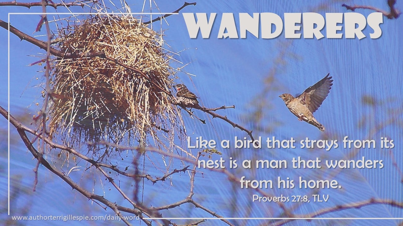 proverbs and sayings about birds