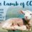 Daily Word: The Lamb of GOD! John 1:29