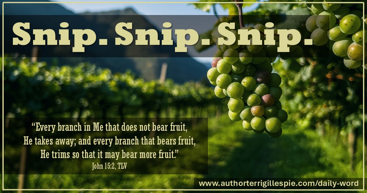 Daily Word: Snip. Snip. Snip. John 15:2 - Terri Gillespie